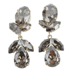 Bezaubernde Ohrclips in Silber